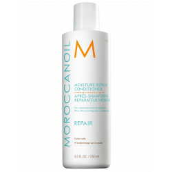 moisture_repair_conditioner_250ml_eu_rgb